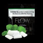 Mint Gum - 100gms - zip-bag-100g